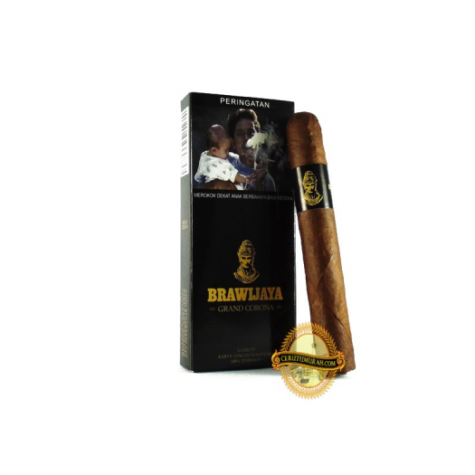 BRAWIJAYA GRAND CORONA PACK OF 3